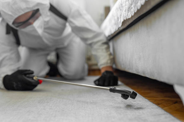 Professional Termite Control technician working in Mokena, IL